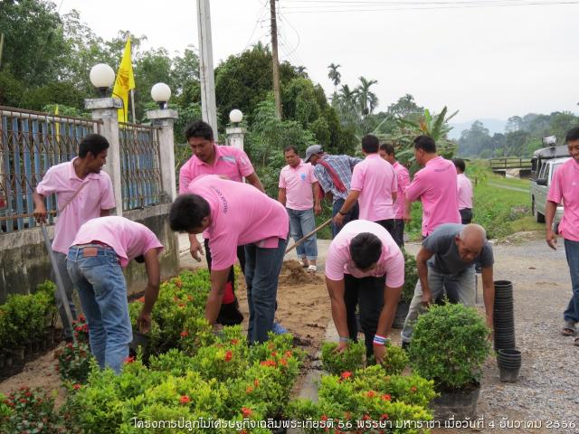 โครงการปลูกไม้เศรษฐกิจเฉลิมพระเกียรติ 56