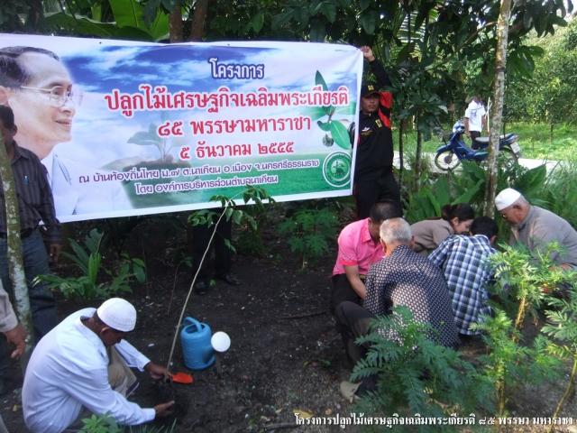 โครงการปลูกไม้เศรษฐกิจเฉลิมพระเกียรติ ๘๕ พรรษา มหาราชา ๕ ธันวาคม ๒๕๕๕